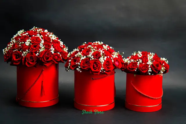 Product — photograph by Nemesis Media